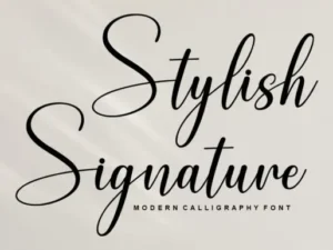 Stylish Signature Font