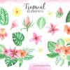 Watercolor Tropical Animals Clipart